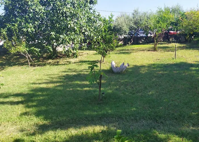Apartmant Sucic