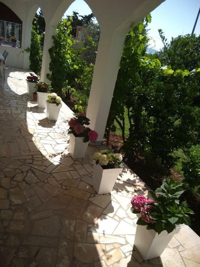 Apartmant Sucic
