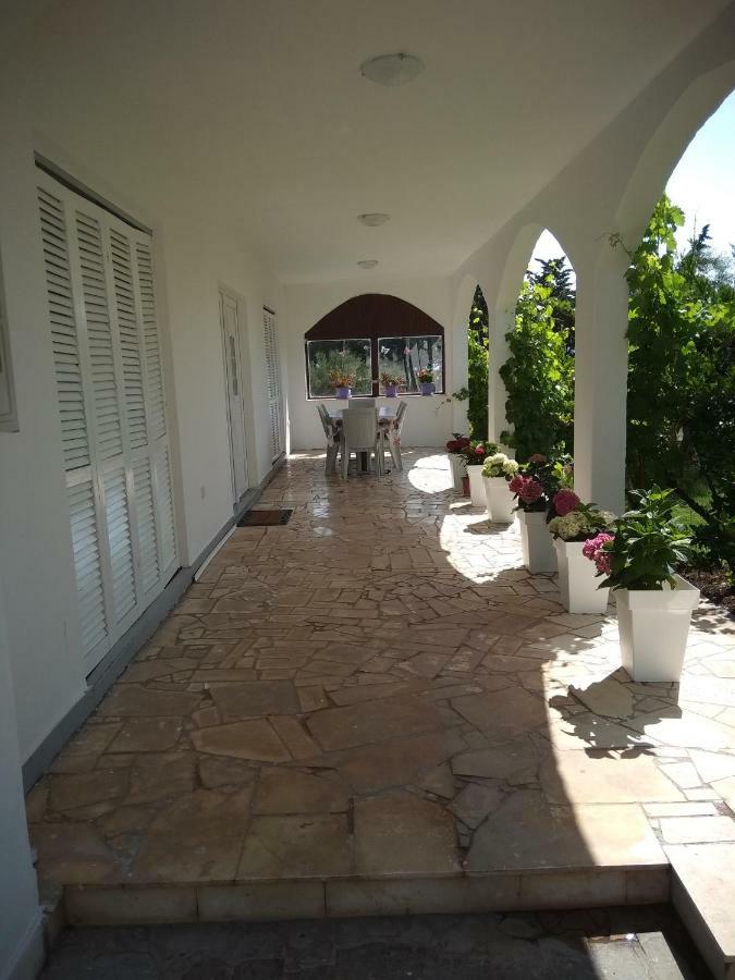 Apartmant Sucic